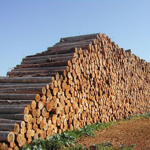 Wood Transportation